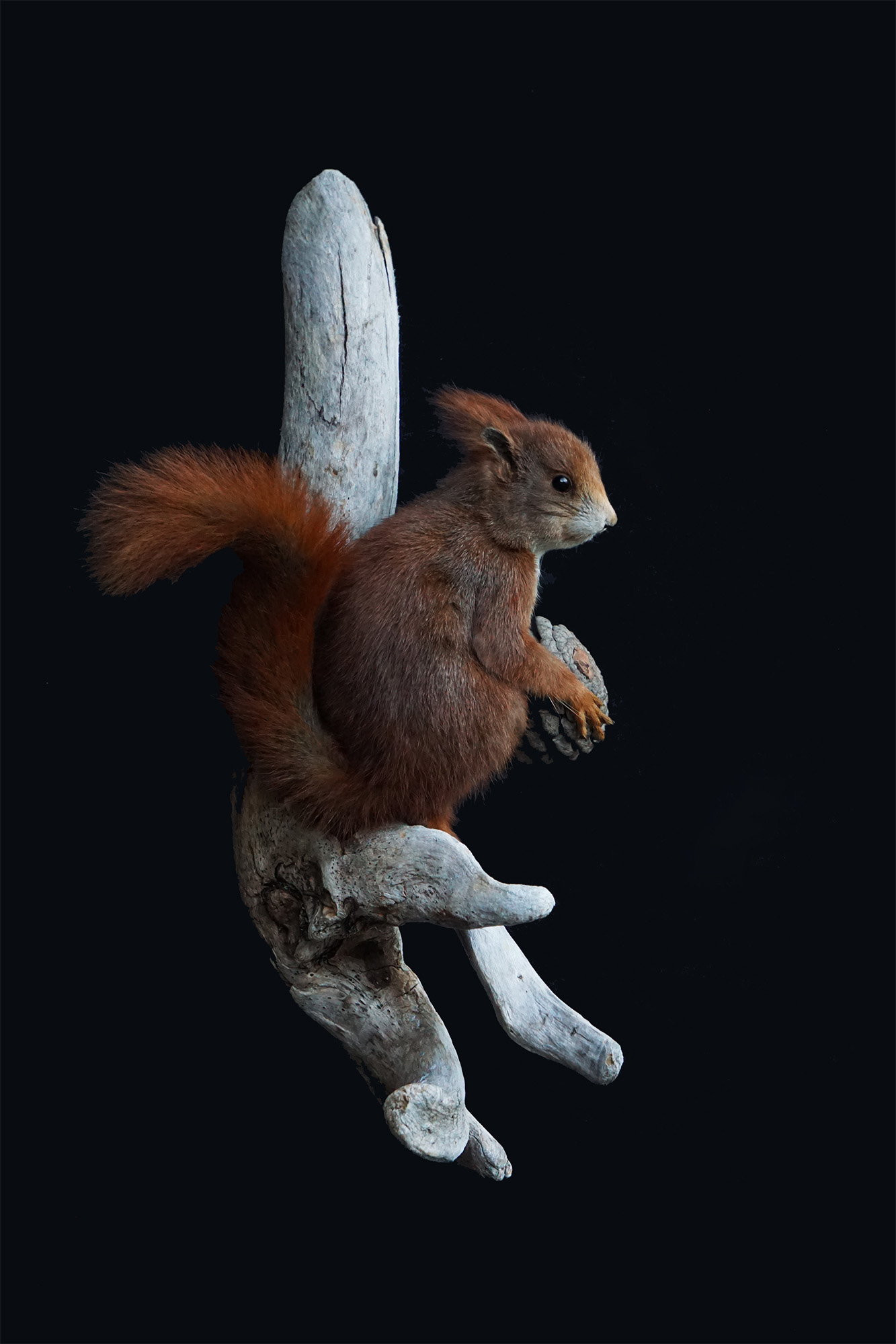 egeren-langes-trofaemontering